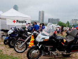 Mighty Texas Dog Walk